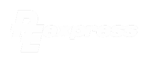 PE Express logo